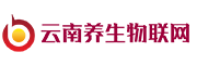 云南养生物联网